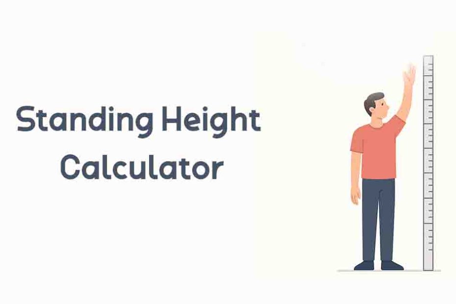 standing reach calculator